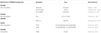 The Role of NMDA Receptors in Alzheimer’s Disease